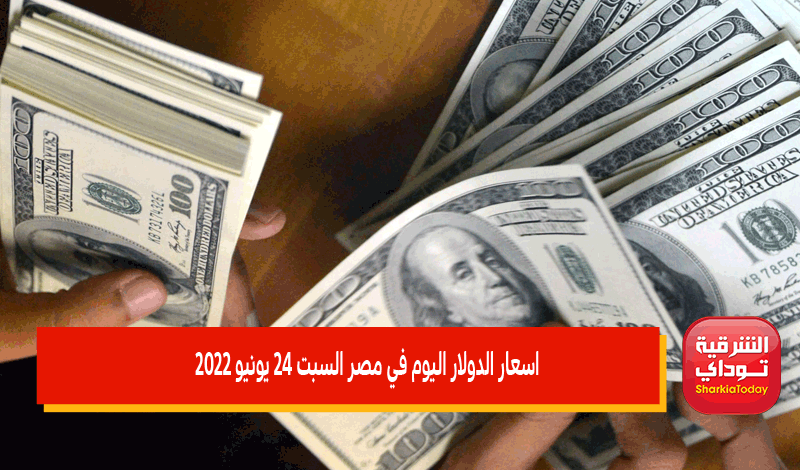 اسعار الدولار اليوم في مصر