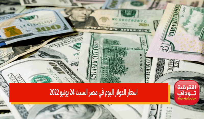 اسعار الدولار اليوم في مصر السبت 25 يونيو 2022 5 اسعار الدولار اليوم في مصر
