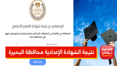 البحيرة11 4