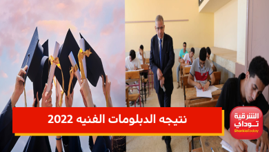 الدبلومات الفنية 0