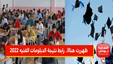 الدبلومات الفنية6