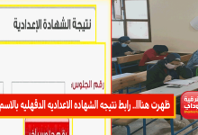 الدقهلية نتيجه