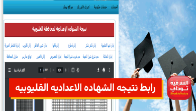 القليوبية4 4