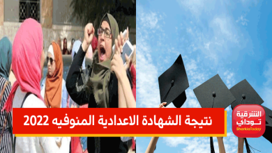 المنوفية نتيجه
