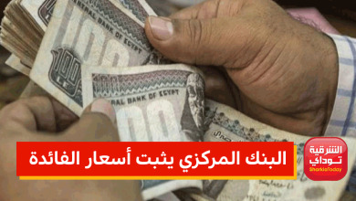 البنك المركزي المصري يثبت سعر الفائدة