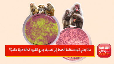 ماذا يعني اتجاه منظمة الصحة إلى تصنيف جدري القرود كحالة طارئة عالميًا؟ 2 تصنيف جدري القرود كحالة طارئة