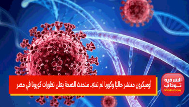 أوميكرون منتشر حاليًا وكورنا لم تنتهِ.. متحدث الصحة يعلن تطورات كورونا في مصر 3 تطورات كورونا في مصر