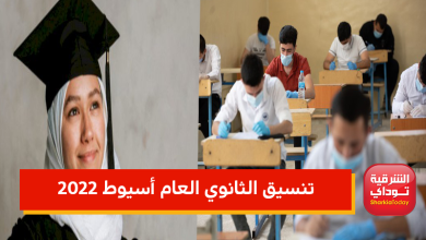 تنسيق 1 1