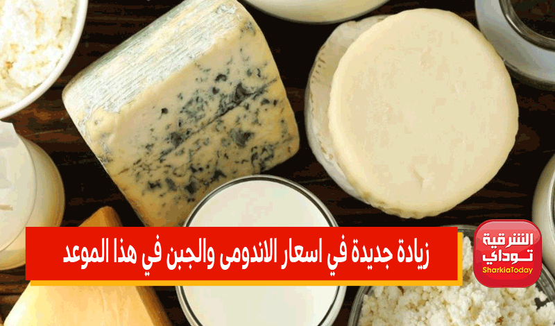 زيادة جديدة في اسعار الاندومى والجبن