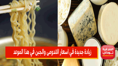 زيادة جديدة في اسعار الاندومى والجبن