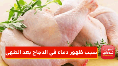 سبب ظهور دماء في الدجاج بعد الطهي