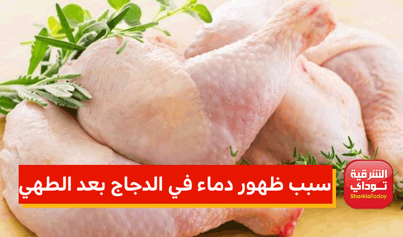 سبب ظهور دماء في الدجاج بعد الطهي