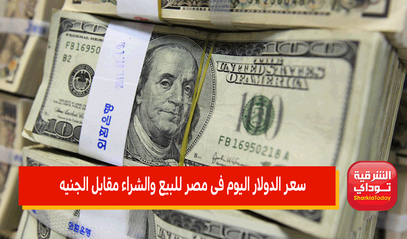 سعر الدولار اليوم فى مصر