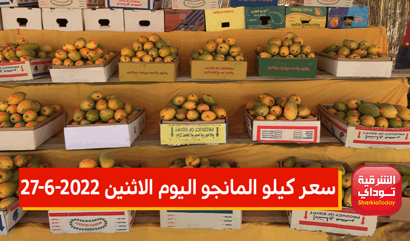 نورت الأسواق وبرخص التراب.. سعر كيلو المانجو اليوم الاثنين 27-6-2022 2 سعر كيلو المانجو اليوم الاثنين 27-6-2022