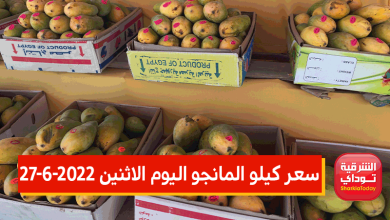 نورت الأسواق وبرخص التراب.. سعر كيلو المانجو اليوم الاثنين 27-6-2022 2 سعر كيلو المانجو اليوم الاثنين 27-6-2022