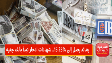 الفوائد الجديدة في البنوك بعائد يصل إلى 15.25%.. تبدأ بألف جنيه في 8 بنوك "فرصة متتعوضش" 8 شهادات ادخار جديدة