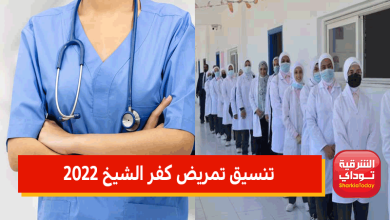 كفر الشيخ