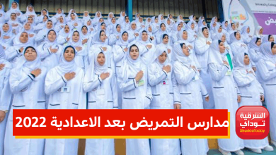 مدارس التمريض بعد الاعدادية 2022