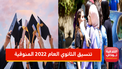 منوفية 1 1