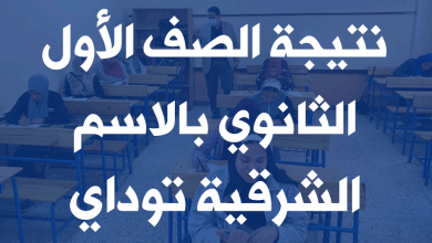 نتيجة الصف الأول الثانوي بالاسم فقط الترم الثاني 2022