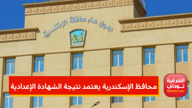 نتيجة موقع 8