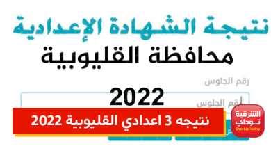 نتيجه 3 اعدادي القليوبية 2022