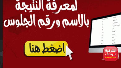 رابط مباشر نتيجه الصف الثالث الاعدادي القليوبيه 2022 بالاسم ورقم الجلوس 1 نتيجه الصف الثالث الاعدادي القليوبيه
