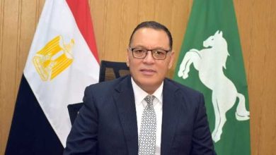 محافظ الشرقية