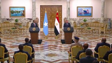 الرئيس السيسي: مصر تدعم الصومال لتعزيز السلم والأمن والقضاء على الإرهاب 22 الرئيس السيسي