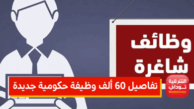 وظيفة حكومية3