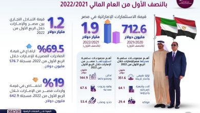 169 زيادة فى قيمة الاستثمارات الإماراتية فى مصر