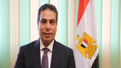 الدكتور عادل عبد الغفار المتحدث باسم وزارة التعليم العالى