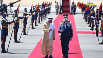 الرئيسان السيسي و بن زايد يؤكدان أهمية تعزيز العمل العربى المشترك ووحدة الصف
