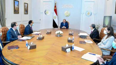 "السيد الرئيس عبد الفتاح السيسي يتابع استراتيجية الدولة للطاقة الجديدة والمستدامة".
