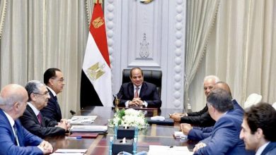 الرئيس السيسي يتابع التعاون المشترك مع الجانب اليوناني لتنفيذ مشروعات انتاج الكهرباء