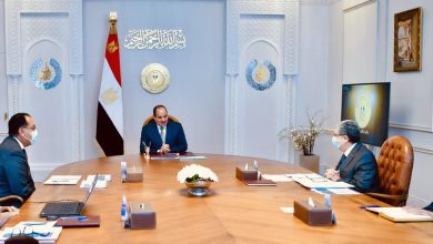 الرئيس السيسي يستعرض جهود تطوير منظومة صناعة الألمونيوم في مصر 13 الرئيس السيسي يستعرض جهود تطوير منظومة صناعة الألمونيوم في مصر