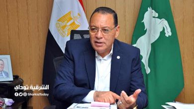محافظ الشرقية