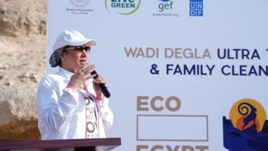وزيرة البيئة : مصر تواكب العالم بالاستثمار فى المحميات الطبيعية لتنميتها بأيدى الشباب 19 وزيرة البيئة